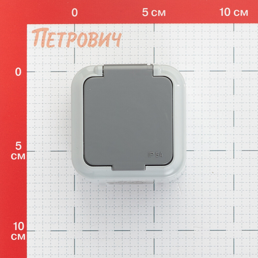 Розетка Svet накладная серая с крышкой (EV 0366-6615)