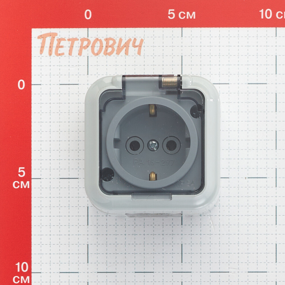 Розетка Svet накладная серая с крышкой (EV 0366-6619)