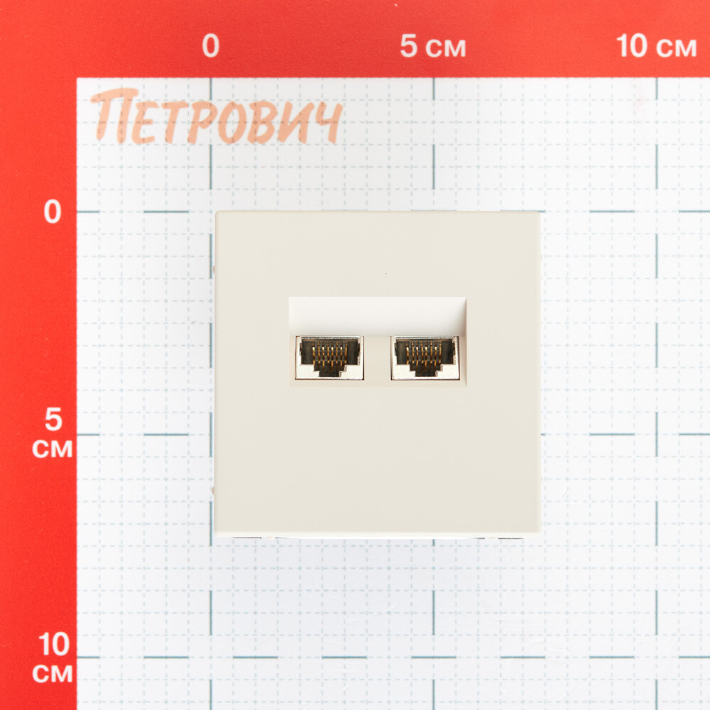 Розетка компьютерная Systeme Electric ArtGallery встраиваемая песочная 2хRJ45 (GAL001288)