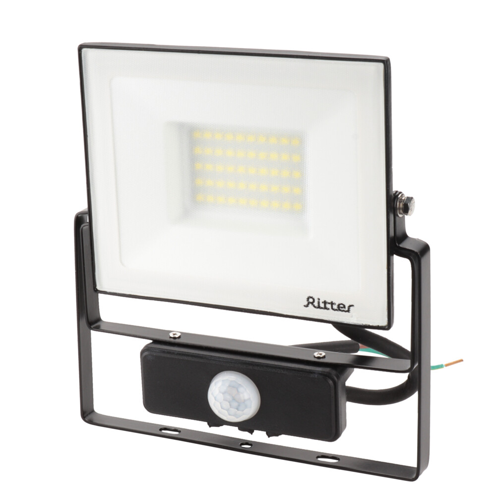 Прожектор светодиодный Ritter Profi 6500К 50 Вт IP65 с датчиком движения черный