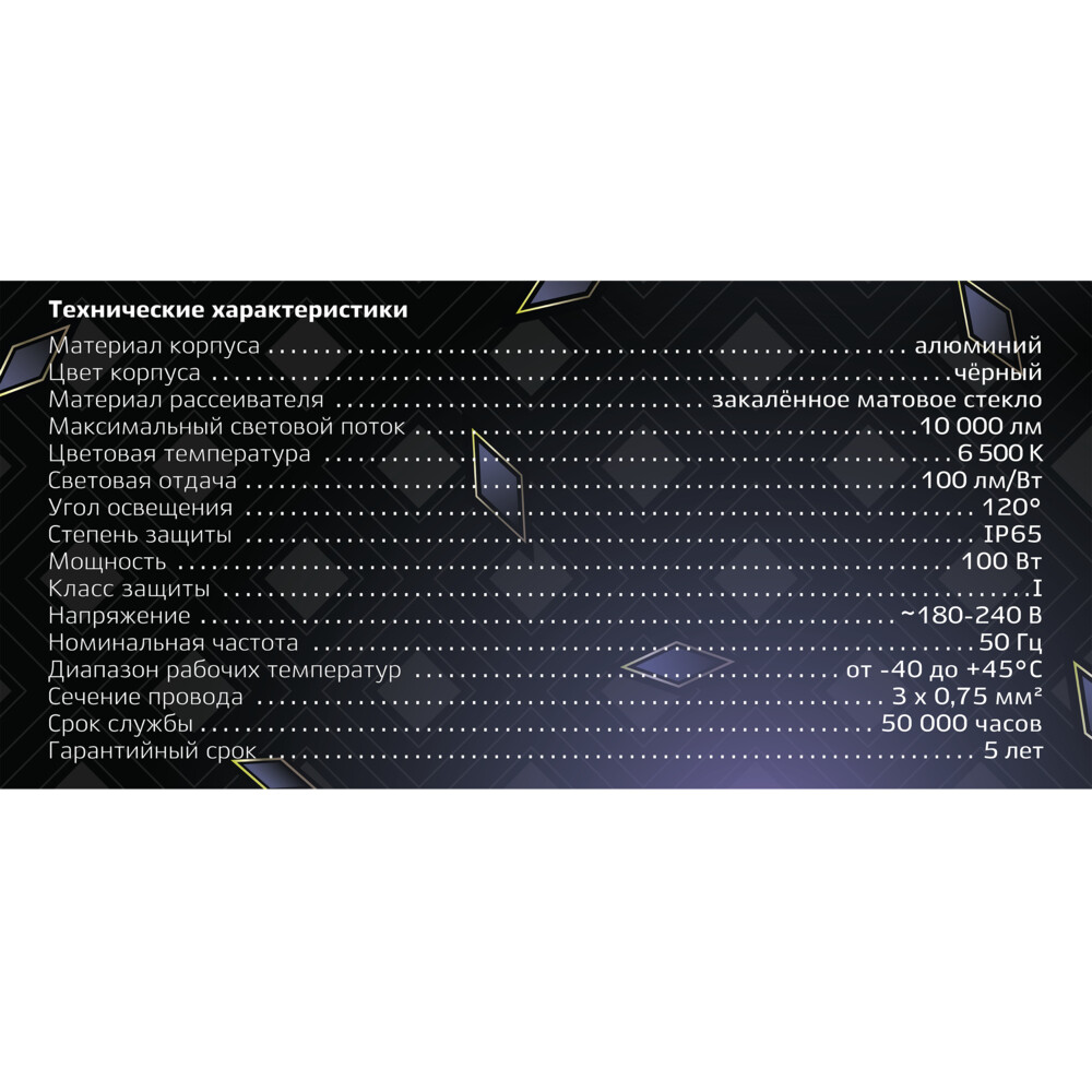 Прожектор светодиодный Ritter Profi 6500К 100 Вт IP65 черный