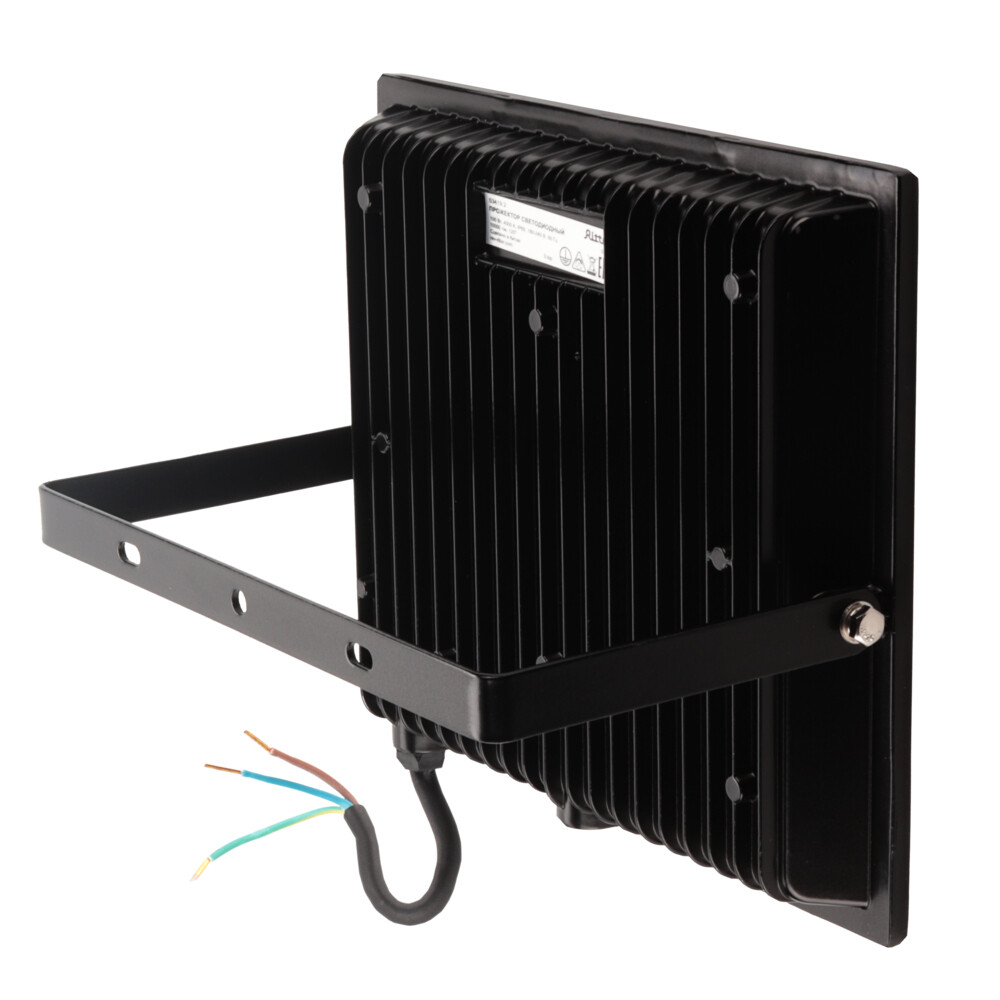 Прожектор светодиодный Ritter Profi 4000К 100 Вт IP65 черный