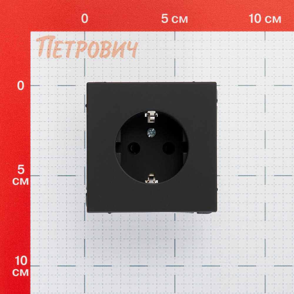 Розетка Systeme Electric ArtGallery встраиваемая карбон со шторками (GAL001045)