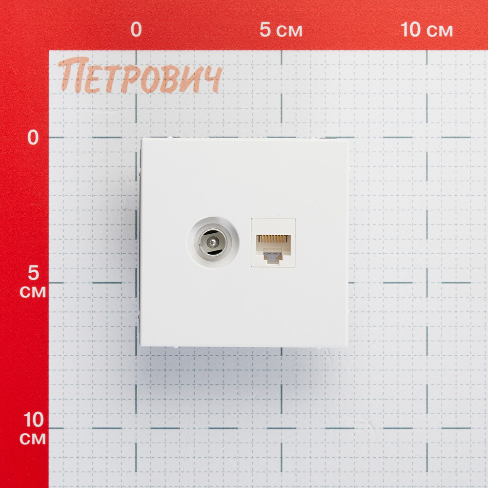 Розетка телевизионная/ компьютерная Systeme Electric ArtGallery встраиваемая белая TV/ RJ45 (GAL000189)