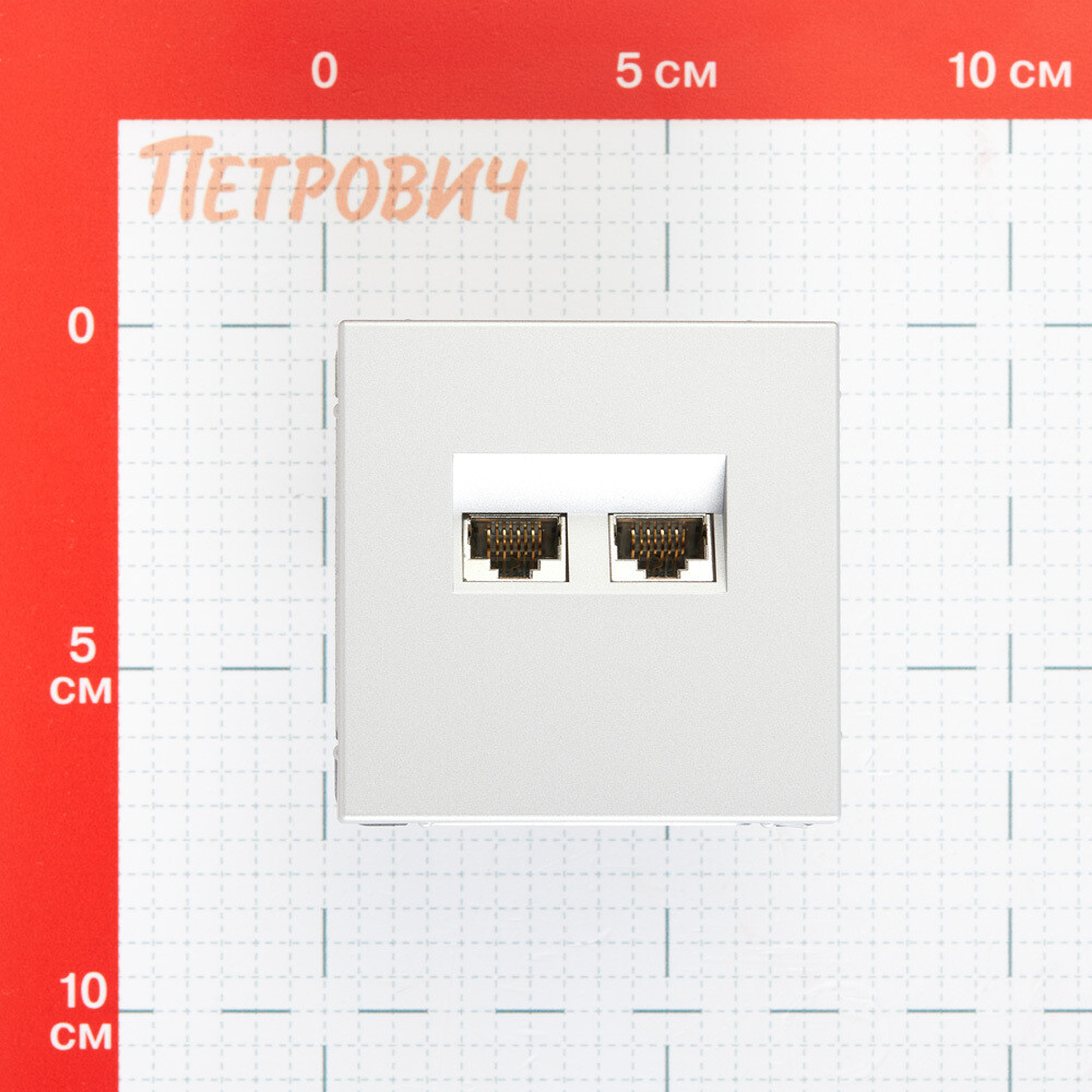 Розетка компьютерная Systeme Electric ArtGallery встраиваемая алюминий 2хRJ45 (GAL000388)