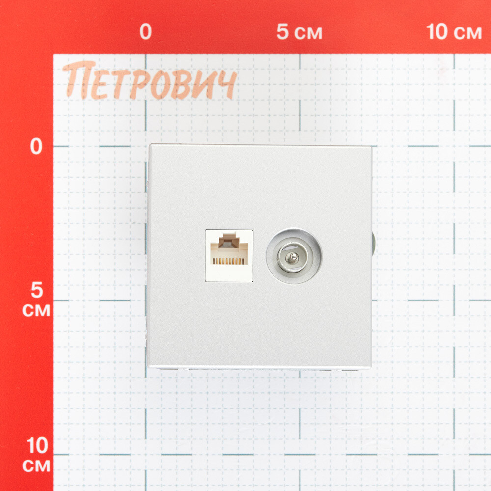 Розетка телевизионная/ компьютерная Systeme Electric ArtGallery встраиваемая алюминий TV/ RJ45 (GAL000389)
