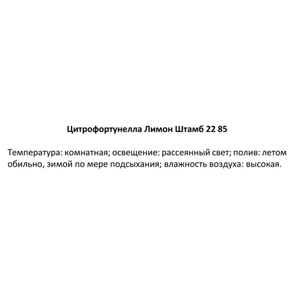 Лимон штамбовый 22x85 см