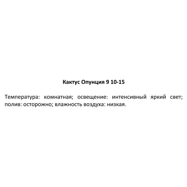 Кактус Опунция ø9 h10 см