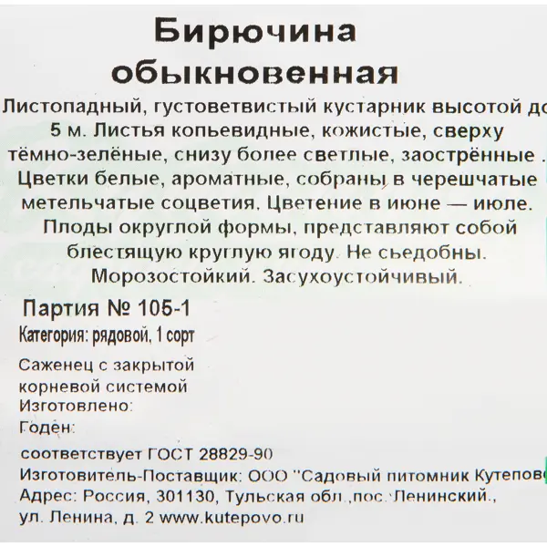 Бирючина обыкновенная 15x40 см