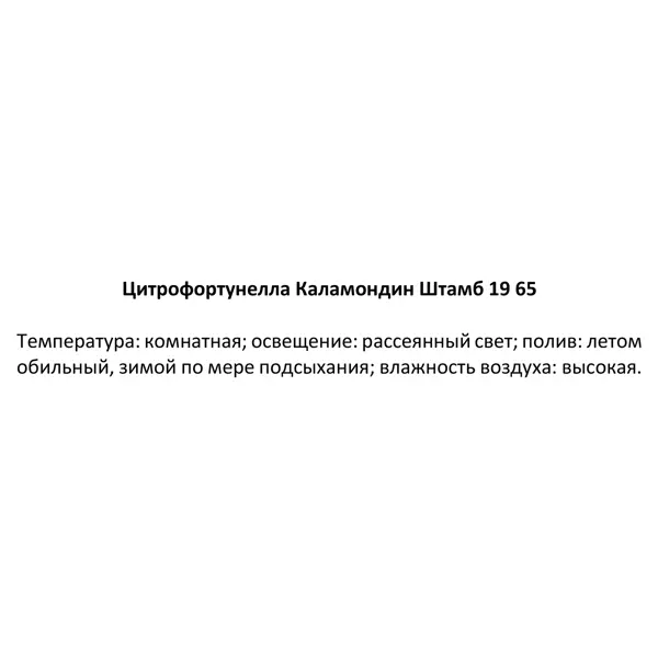 Цитрофортунелла каламондин штамб d19 h65