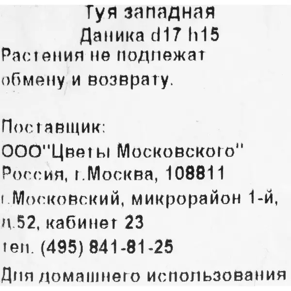 Туя западная «Даника» 2 л h15 см