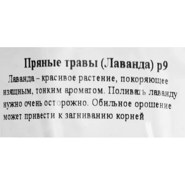 Лаванда ø9 h15 см