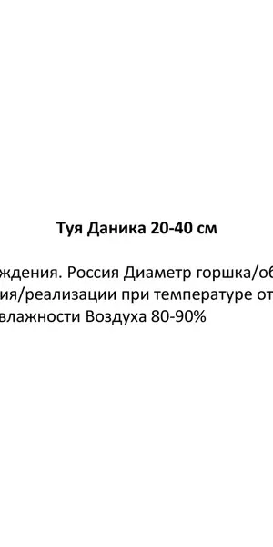 Туя Даника С5 h20-30 см