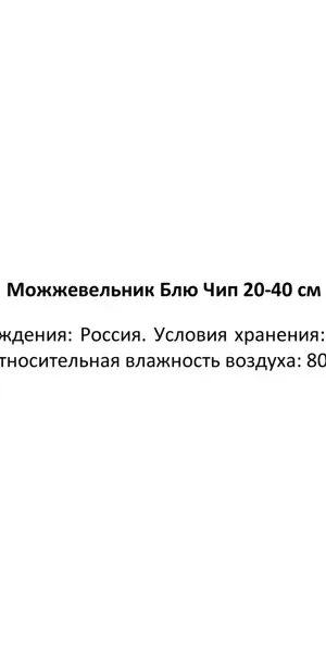 Можжевельник Блю Чип h20 - 40 см