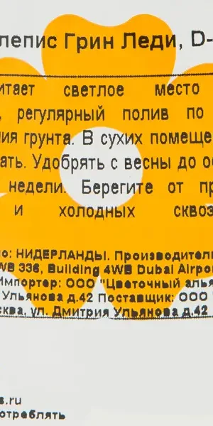 Нефролепис Грин Леди 12x37 см