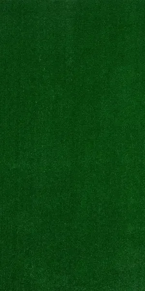 Искусственный газон «Трава Grass» толщина 6 мм ширина 4 м (на отрез) цвет зелёный