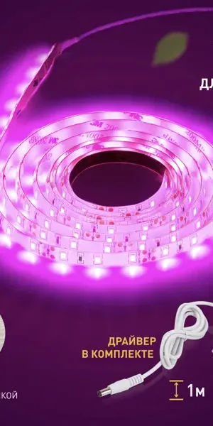 Светодиодная лента для растений Эра fito 2 м 18 Вт 220 В 1800 красно-синего спектра фиолетовый свет влагостойкая