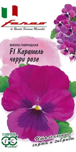 Семена цветов Гавриш Фарао виола Карамель Черри Розе 7 шт.