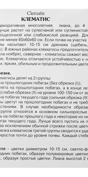 Клематис крупноцветковый Миссис Спенсер Кастл ø5 h10 см