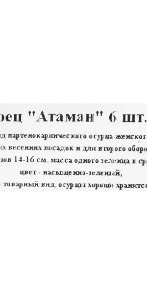 Огурец микс 6 шт