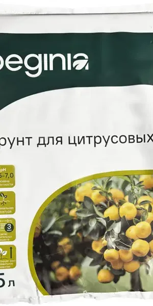 Грунт Beginia для цитрусовых 5 л