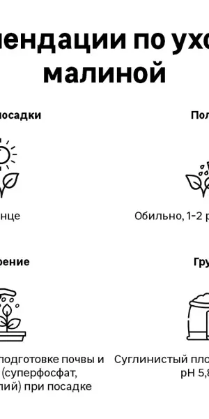 Малина Бригантина капер h10 см