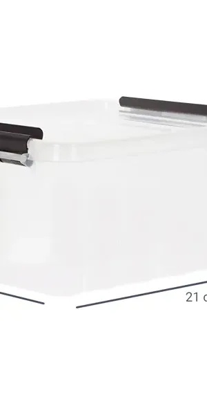 Контейнер Rox Box 21x17x9.5 см 2.5 л пластик с крышкой цвет прозрачный