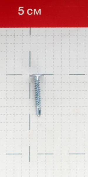 带钻头的自攻螺丝 25x4.2毫米 (1000件)
