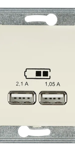 Розетка USB Systeme Electric Glossa встраиваемая бежевая 2хUSB-A (GSL000233)