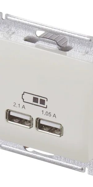 USB插座 Systeme Electric Glossa 嵌入式 米色 2xUSB-A (GSL000233)