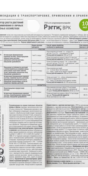 Регулятор роста для растений Avgust Рэгги 10 мл