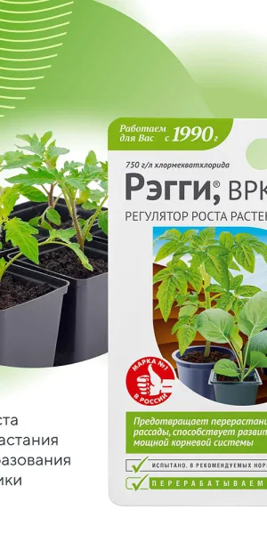 Регулятор роста для растений Avgust Рэгги 10 мл
