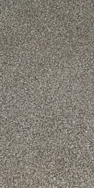 半商用塑胶地板 3.5米 Tarkett Sprint Pro Arizona 1
