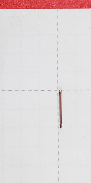 Гвозди финишные 1,2x20 мм омедненные (100 шт.)