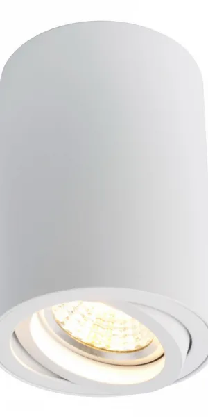 Спот потолочный Arte Lamp Sentry GU10 50 Вт 1 кв.м белый IP20 (A1560PL-1WH/6037)