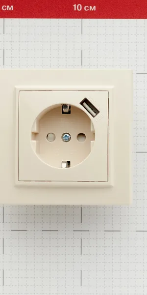 Розетка EKF Минск встраиваемая бежевая с USB-А (ERR16-028-200-USB)