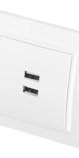 Розетка USB EKF Минск встраиваемая белая 2хUSB-А (ERR-2USB-100)