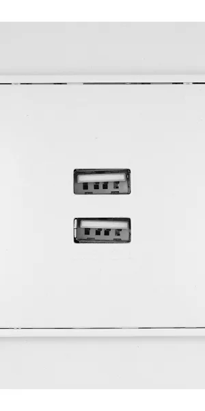 Розетка USB EKF Минск встраиваемая белая 2хUSB-А (ERR-2USB-100)