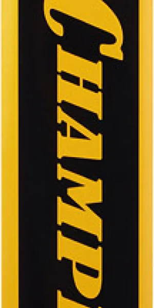 Шина Champion 16" шаг 3/8" паз 1,3 мм 55 звеньев (952902)