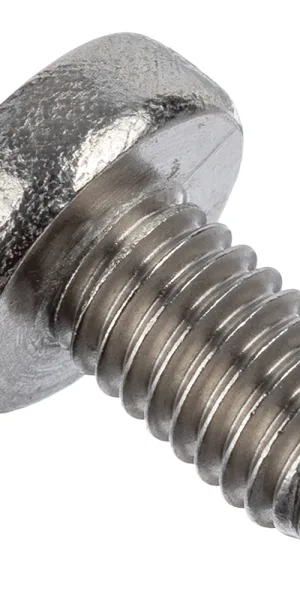 Винт нержавеющая сталь M6x10 мм DIN 7985 полукруглая головка (6 шт.)