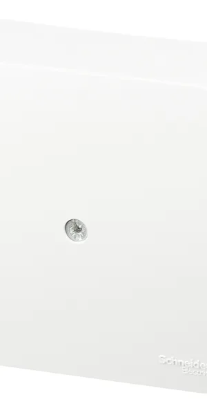 Коробка распределительная Systeme Electric Blanca накладная белая (BLNRK000011)
