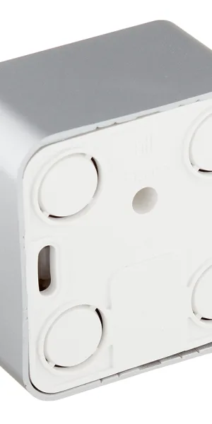 Розетка телевизионная Systeme Electric Blanca накладная алюминий (BLNTA000013)