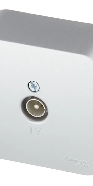 Розетка телевизионная Systeme Electric Blanca накладная алюминий (BLNTA000013)
