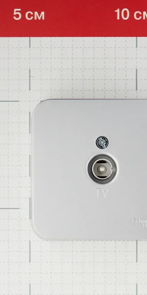 Розетка телевизионная Systeme Electric Blanca накладная алюминий (BLNTA000013)