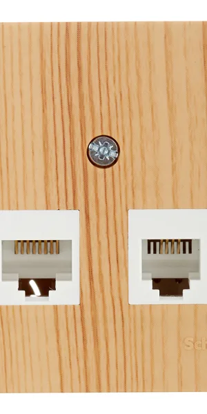 Розетка компьютерная Systeme Electric Blanca накладная ясень 2хRJ45 (BLNIA045455)