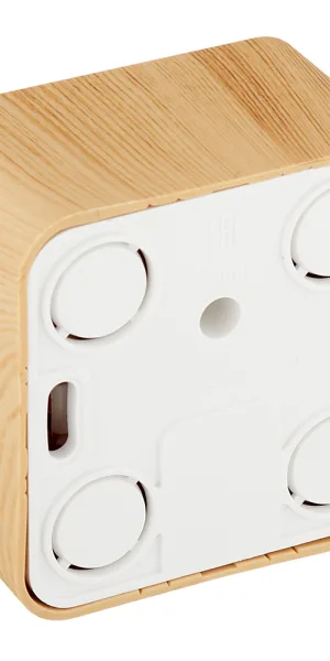 Розетка компьютерная Systeme Electric Blanca накладная ясень 2хRJ45 (BLNIA045455)