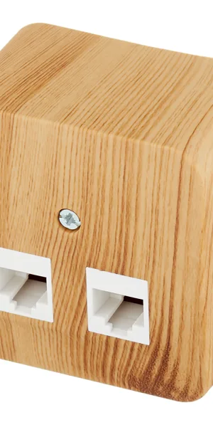 Розетка компьютерная Systeme Electric Blanca накладная ясень 2хRJ45 (BLNIA045455)