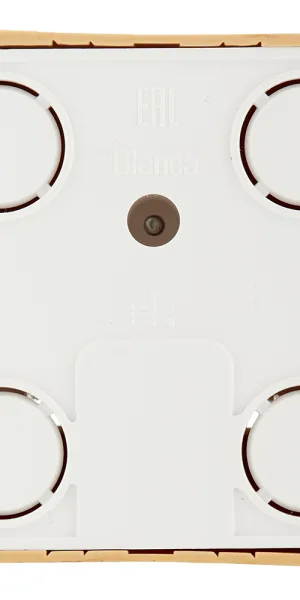Розетка компьютерная Systeme Electric Blanca накладная ясень 2хRJ45 (BLNIA045455)