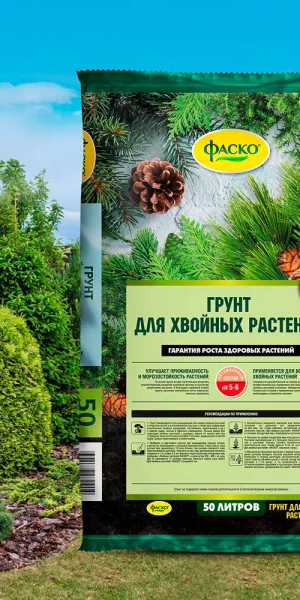 Торфогрунт Фаско для хвойных растений 50 л