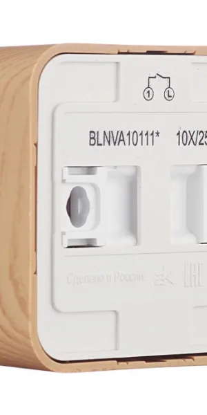 Выключатель Systeme Electric Blanca одноклавишный накладной ясень с подсветкой (BLNVA101115)